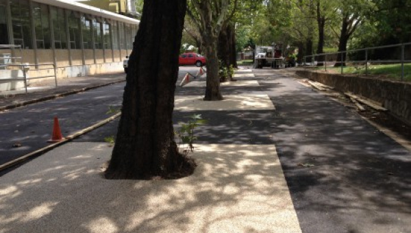 Permeable Paving ideas for Tree-Centric Gardens 